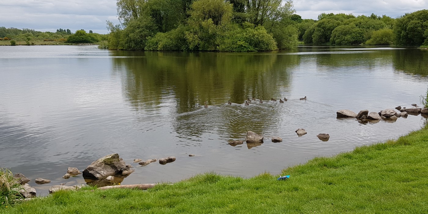 Craigavon's Lakes  2020