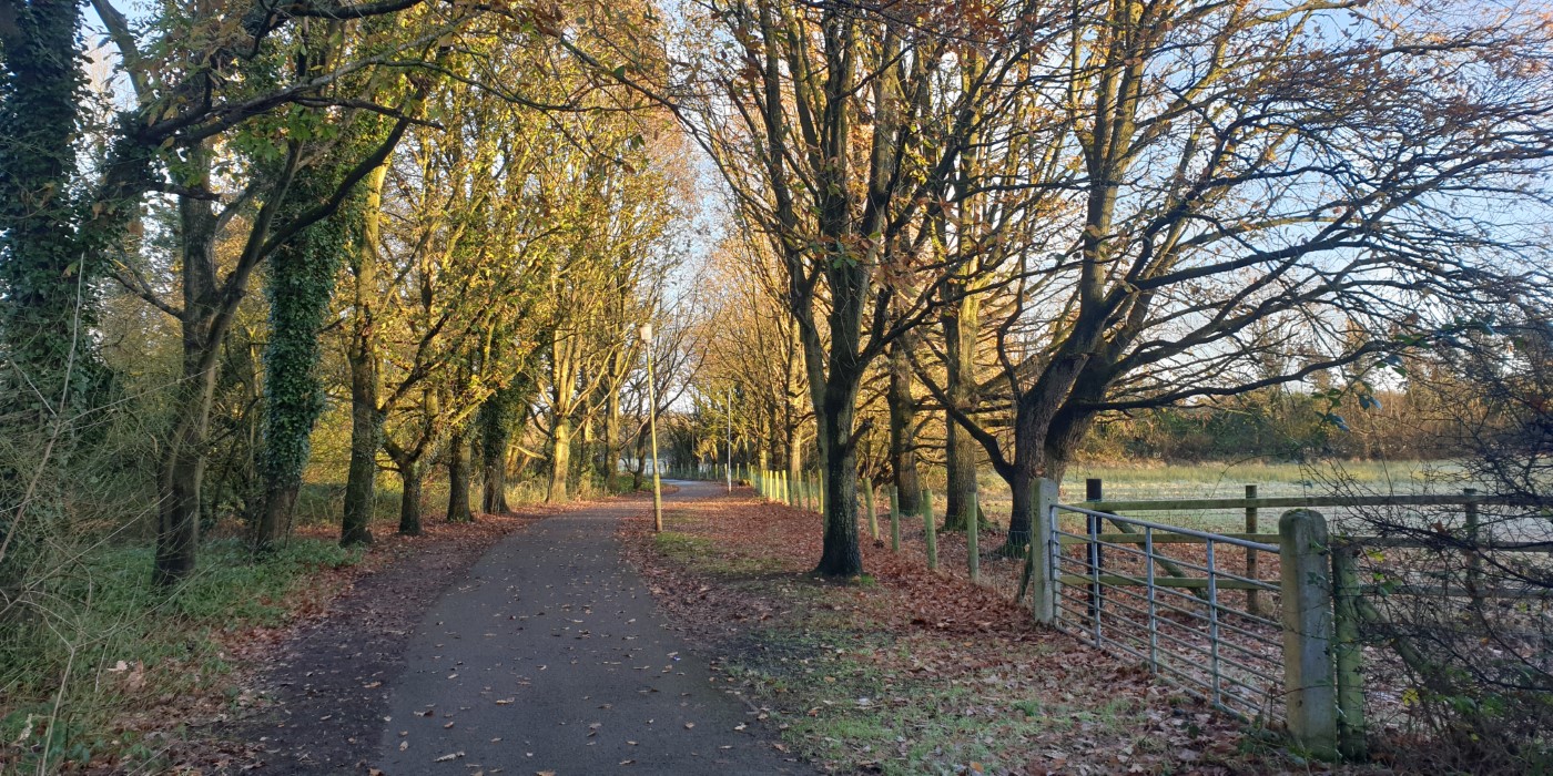 Craigavon's Lakes  2020