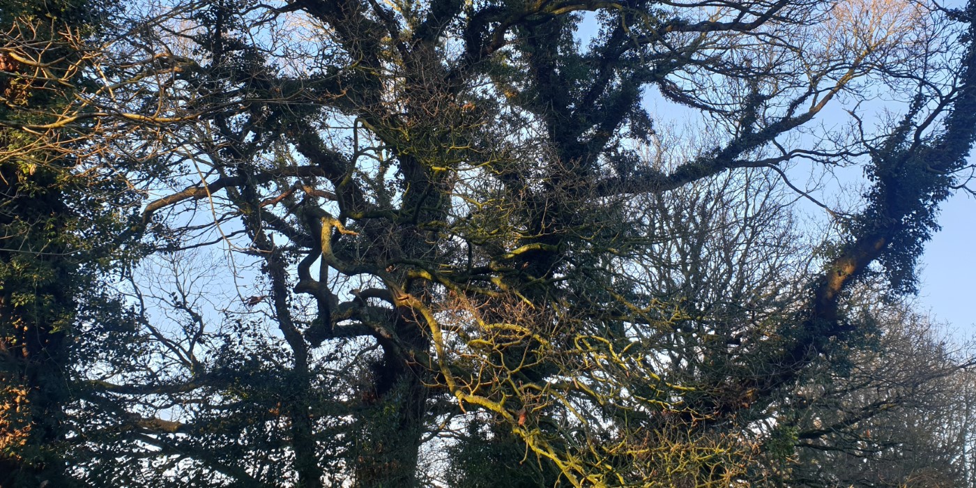 Craigavon's Lakes  2020