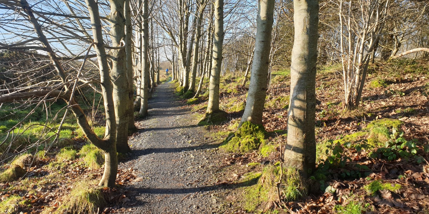 Craigavon's Lakes  2020