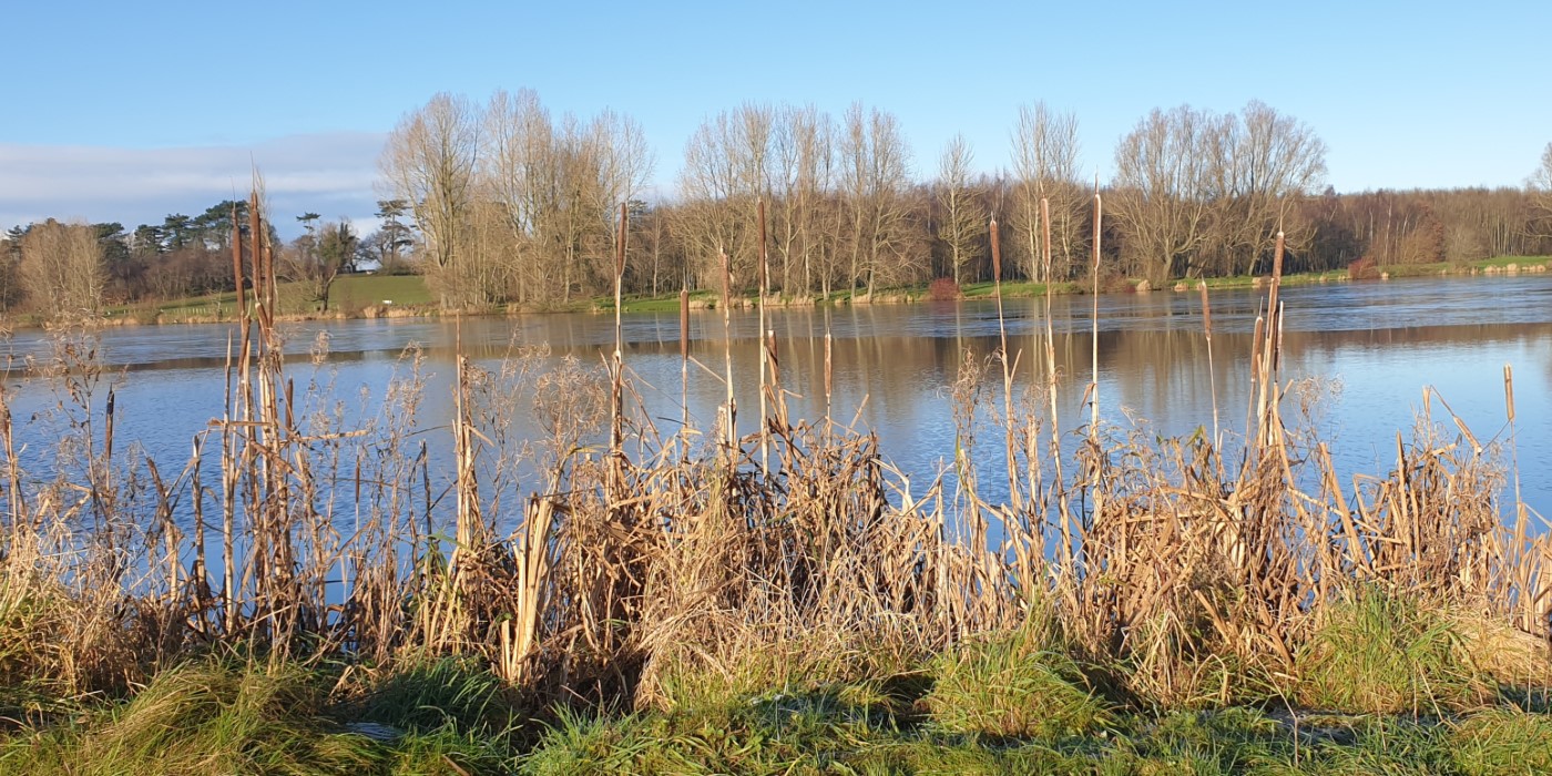 Craigavon's Lakes  2020