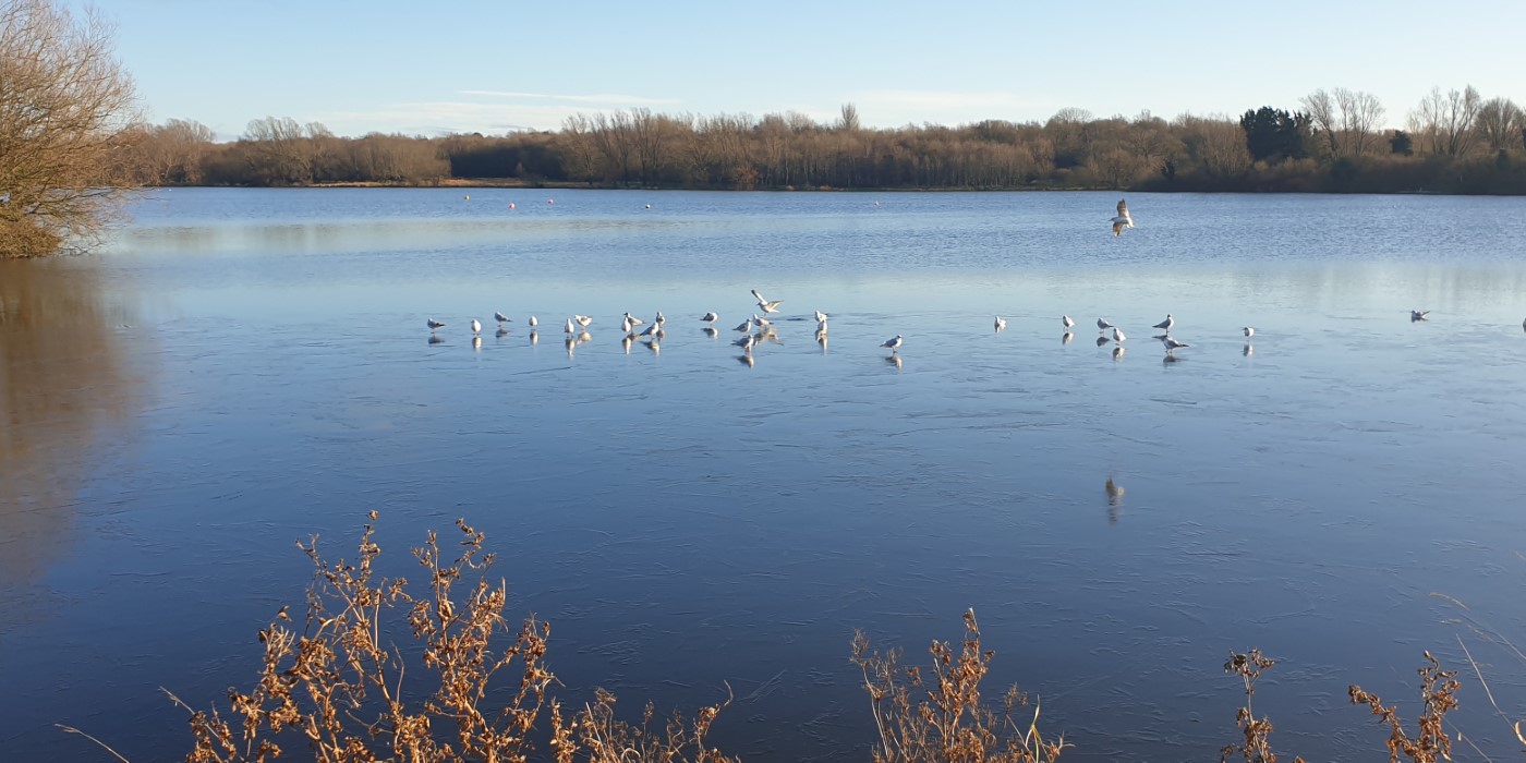 Craigavon's Lakes  2020