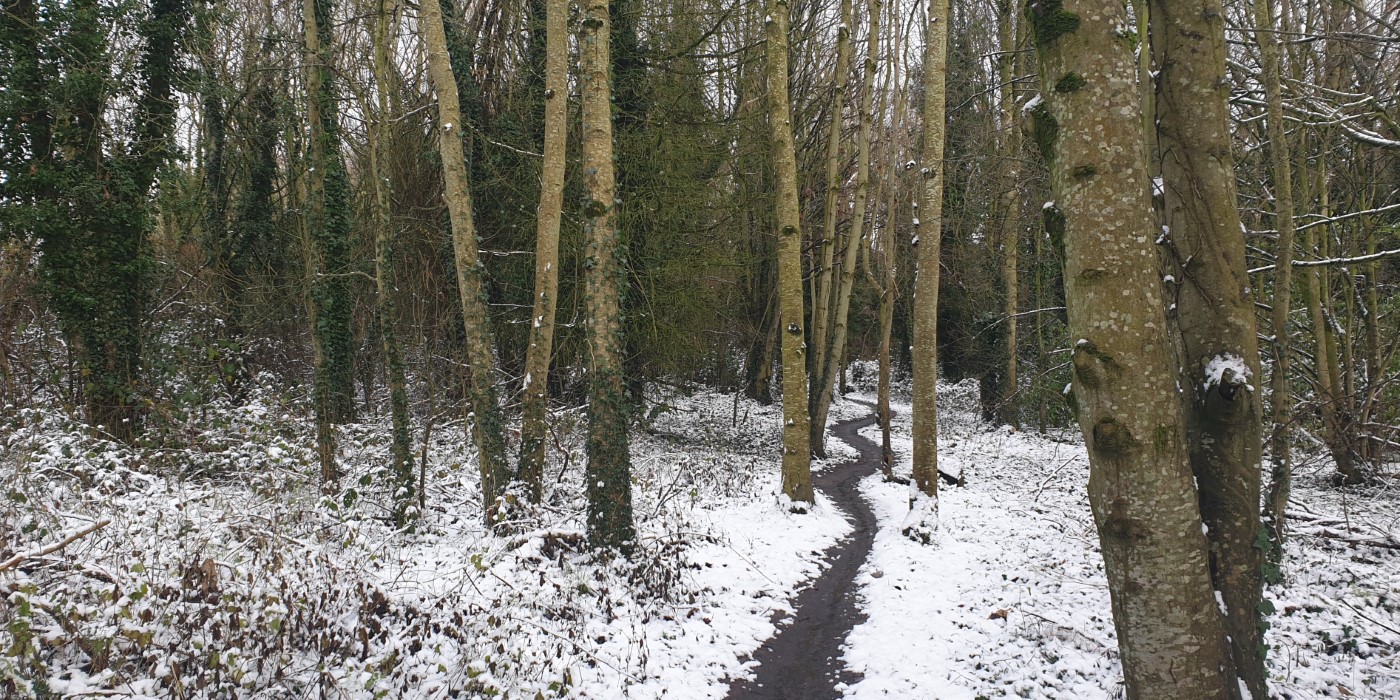 Craigavon's Lakes  2020