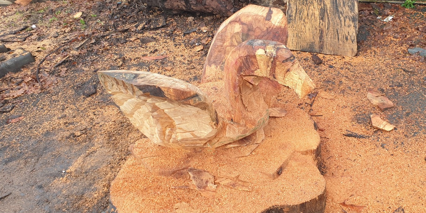 Craigavon's Lakes  2020