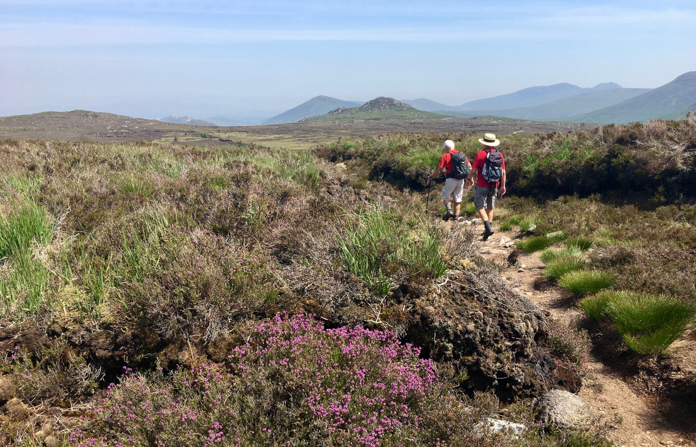 Leitrim Loop - 25 June 2020