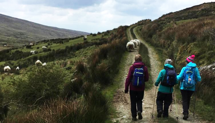 Three lost sheep?