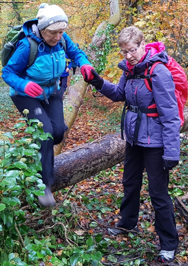 Helen's Tower - 07 Nov. 2019