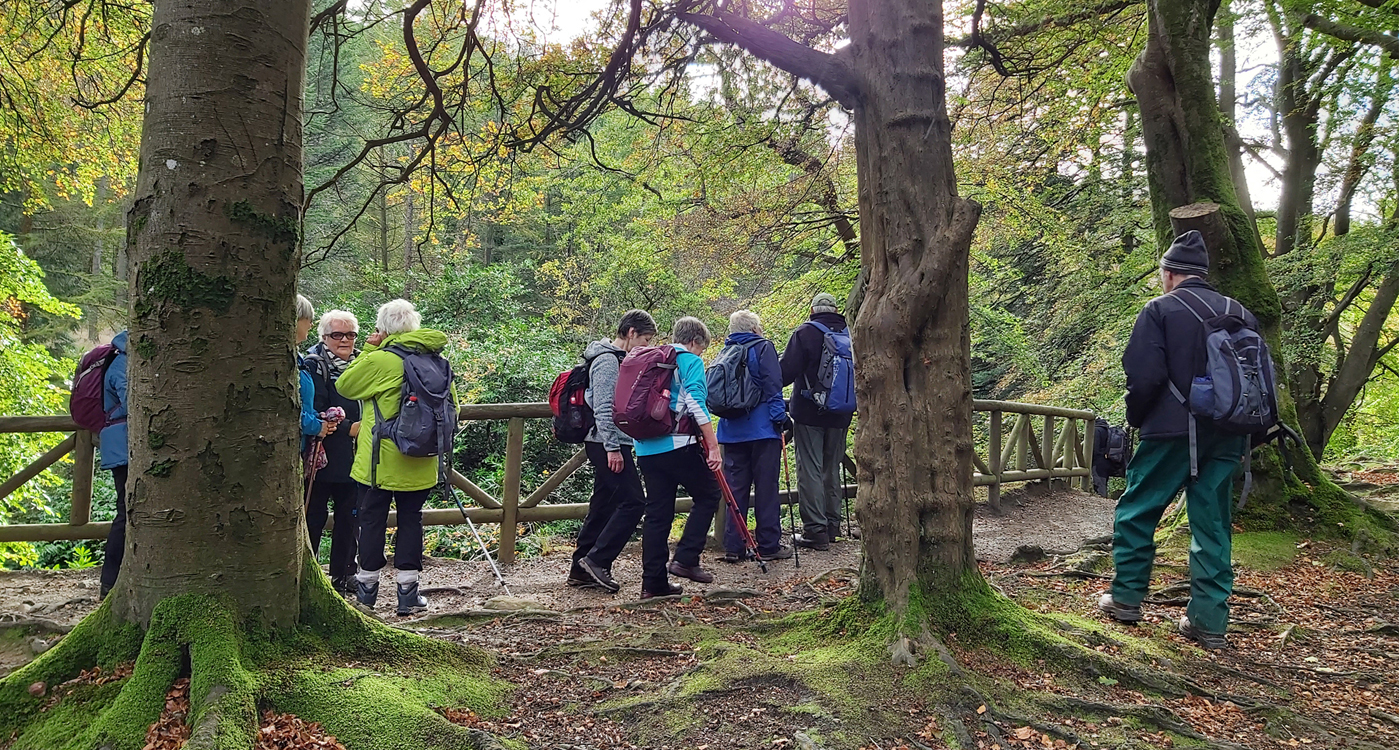 Tollymore - October 2019