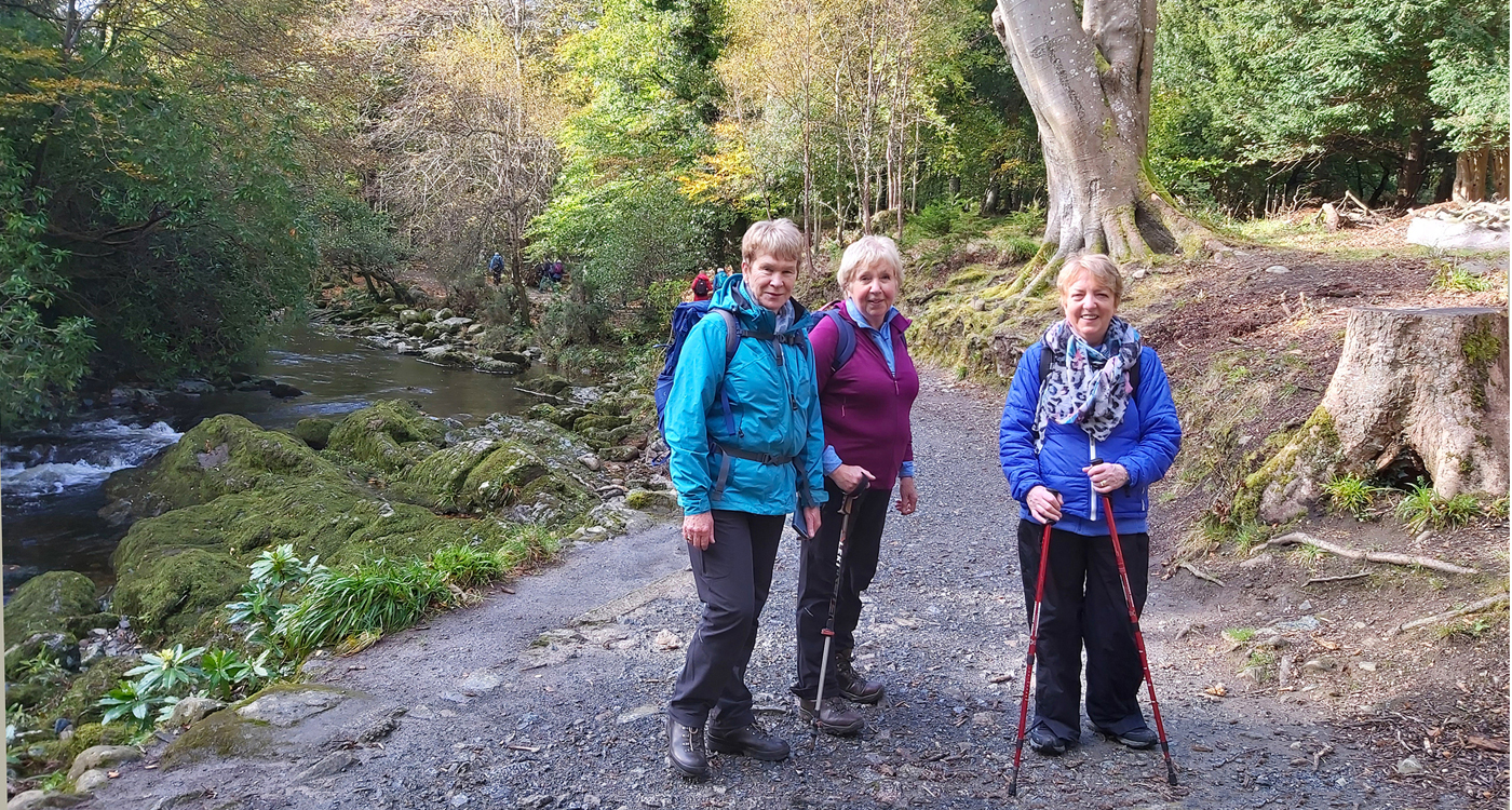 Tollymore - October 2019