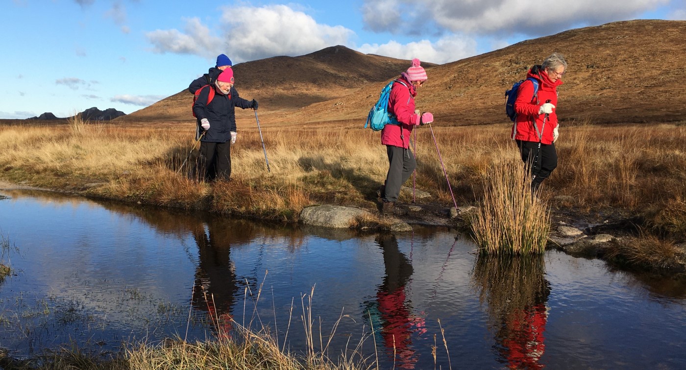 Hen Track - 14 November 2019