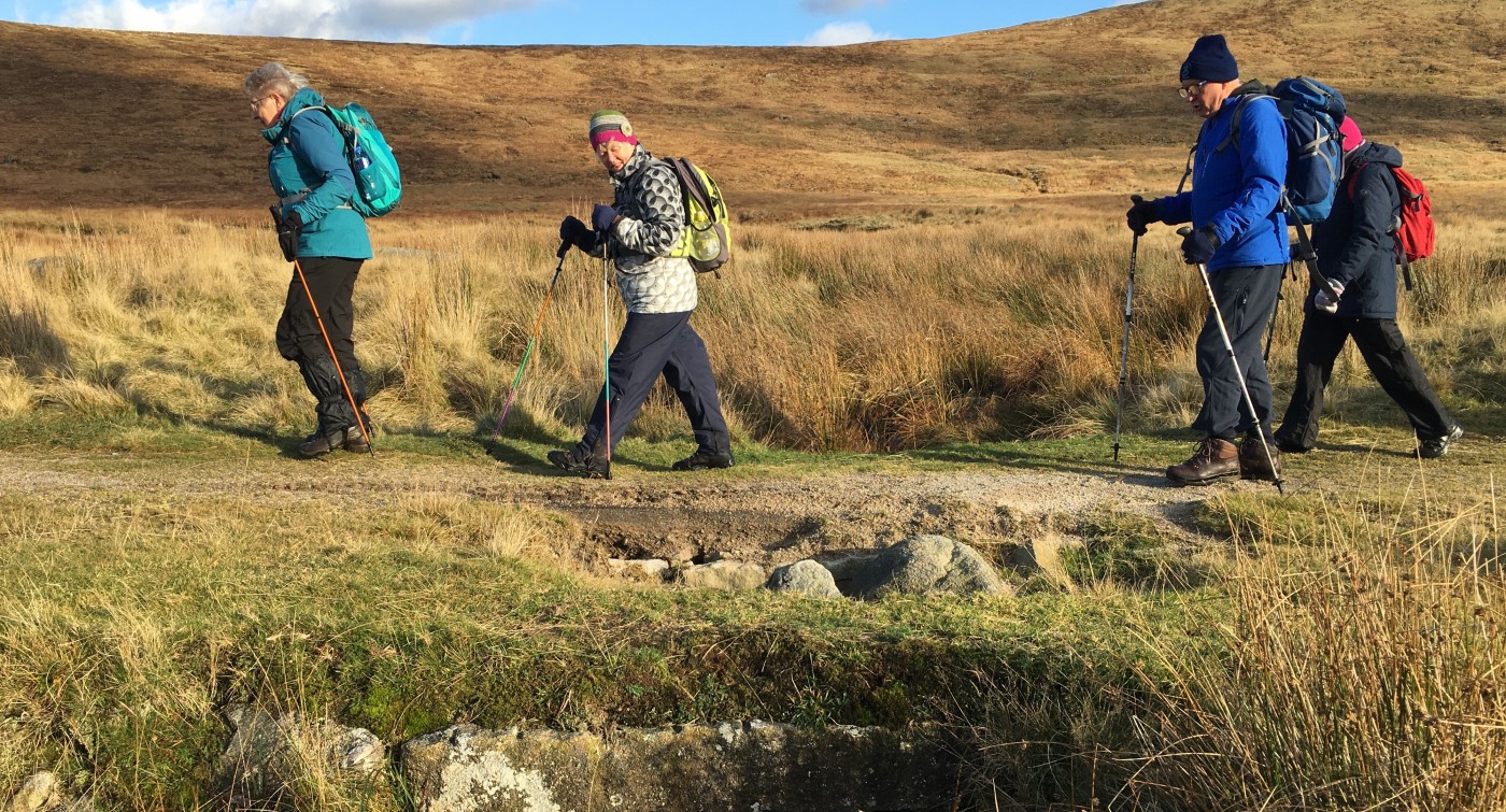 Hen Track - 14 November 2019