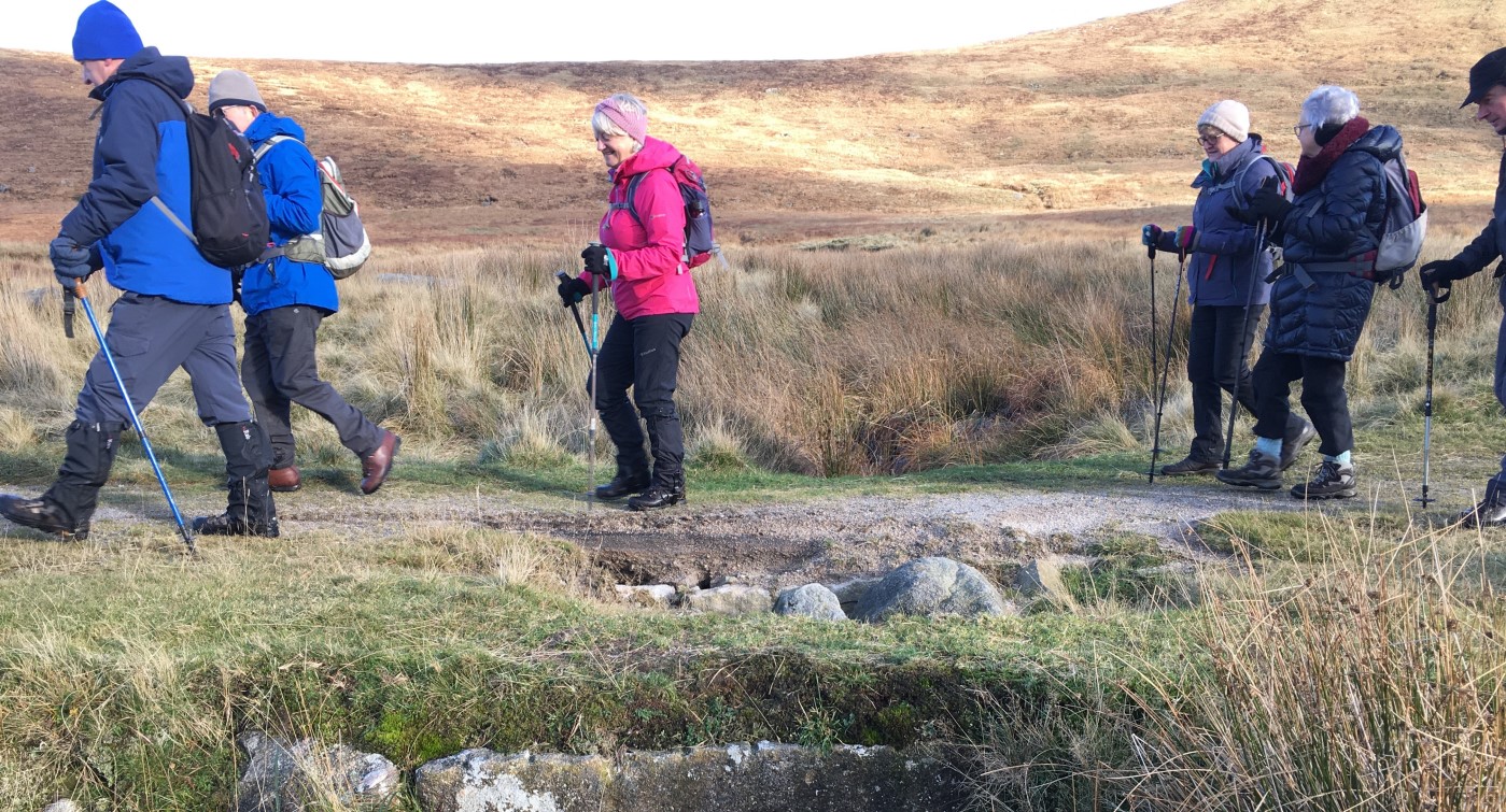 Hen Track - 14 November 2019