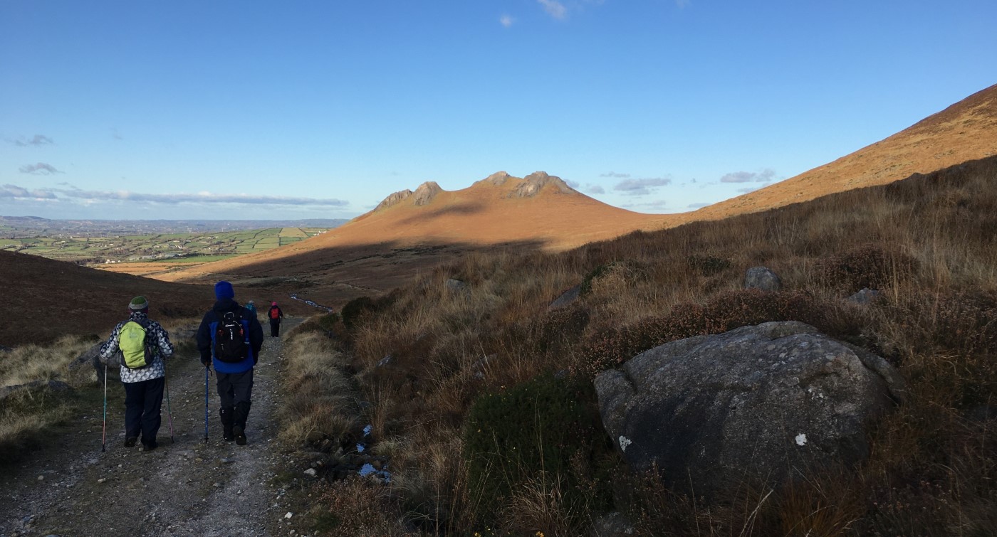 Hen Track - 14 November 2019