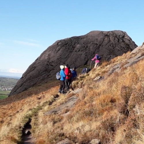 Hen Track - 14 November 2019