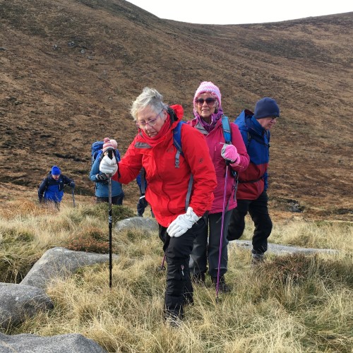 Hen Track - 14 November 2019