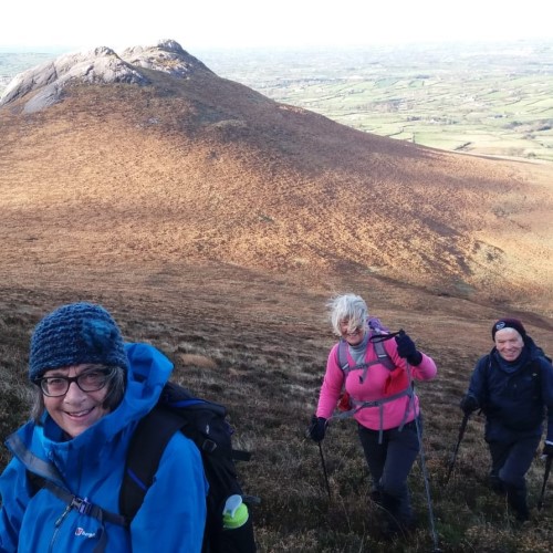 Hen Track - 14 November 2019