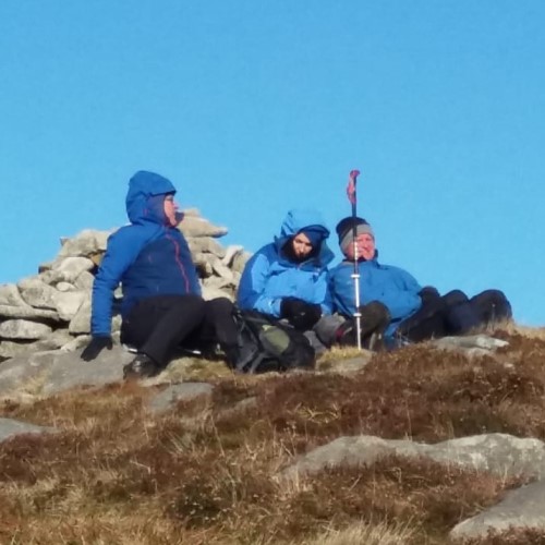Hen Track - 14 November 2019