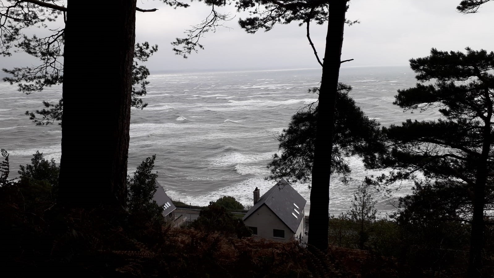 Millstone - 21 November 2019