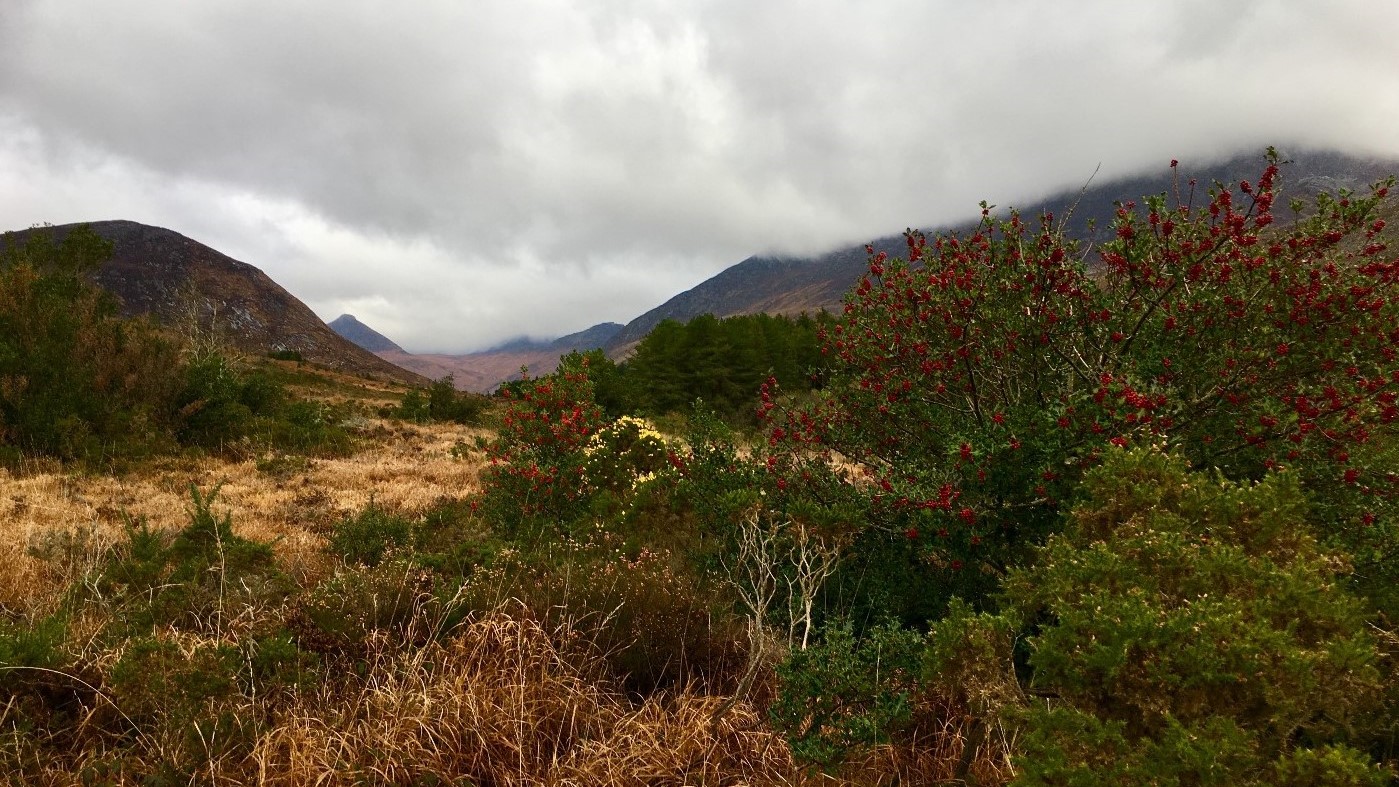 Silent Valley - 28 Nov 2019