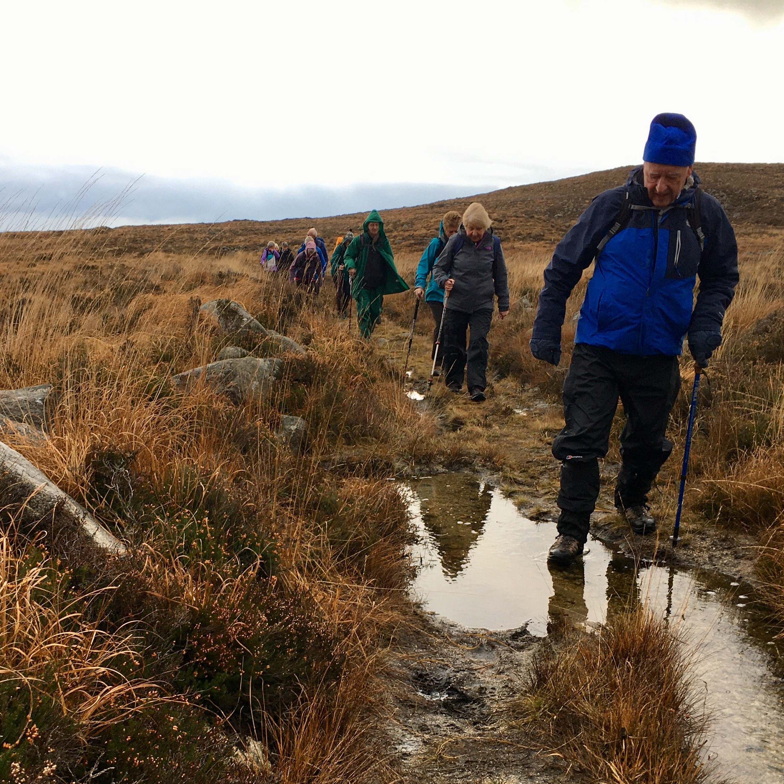 Silent Valley - 28 Nov 2019