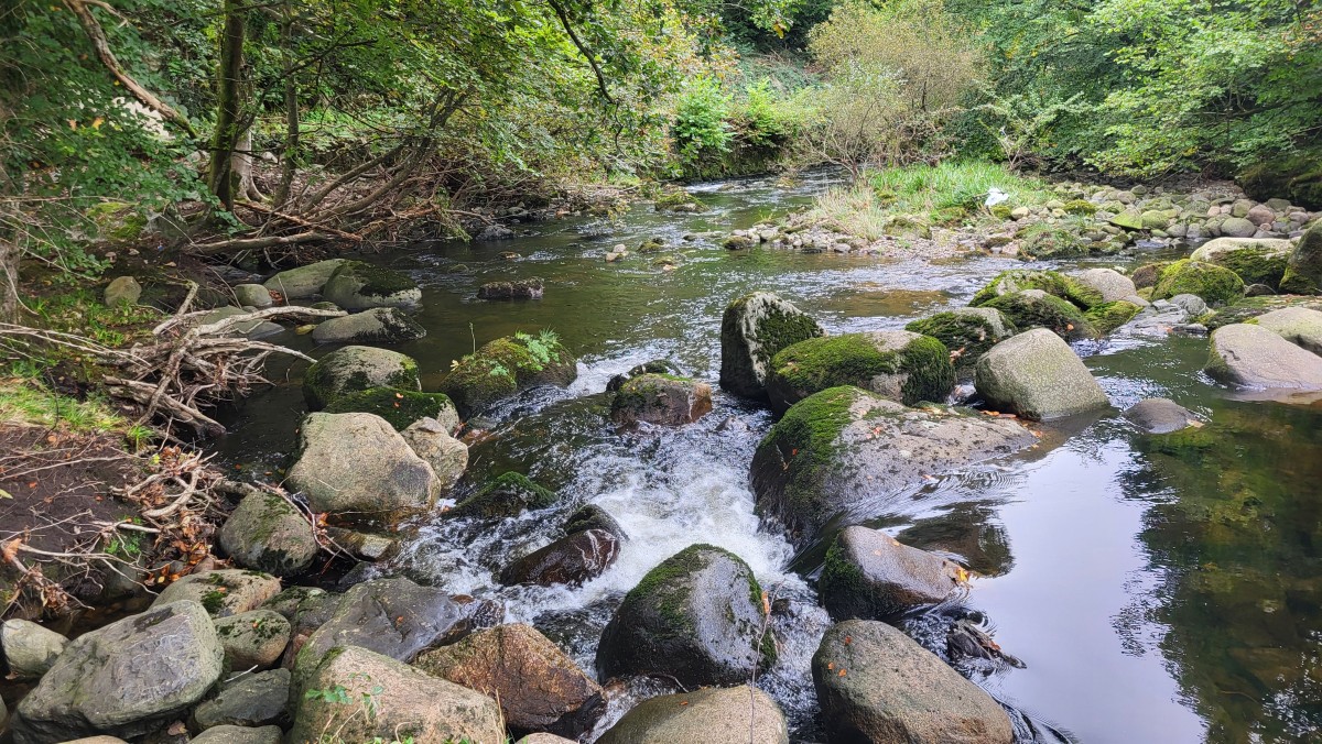 Mourne Park