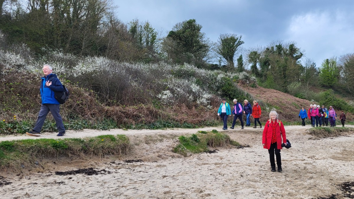 North Down Coastal Path