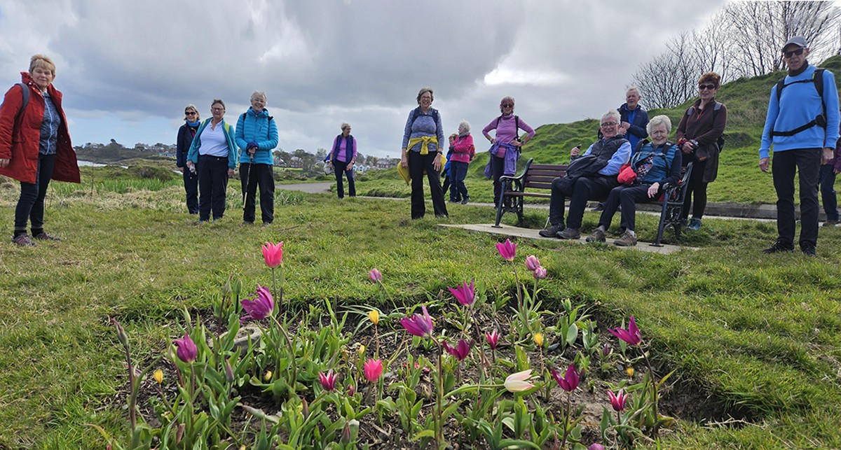 North Down Coastal Path