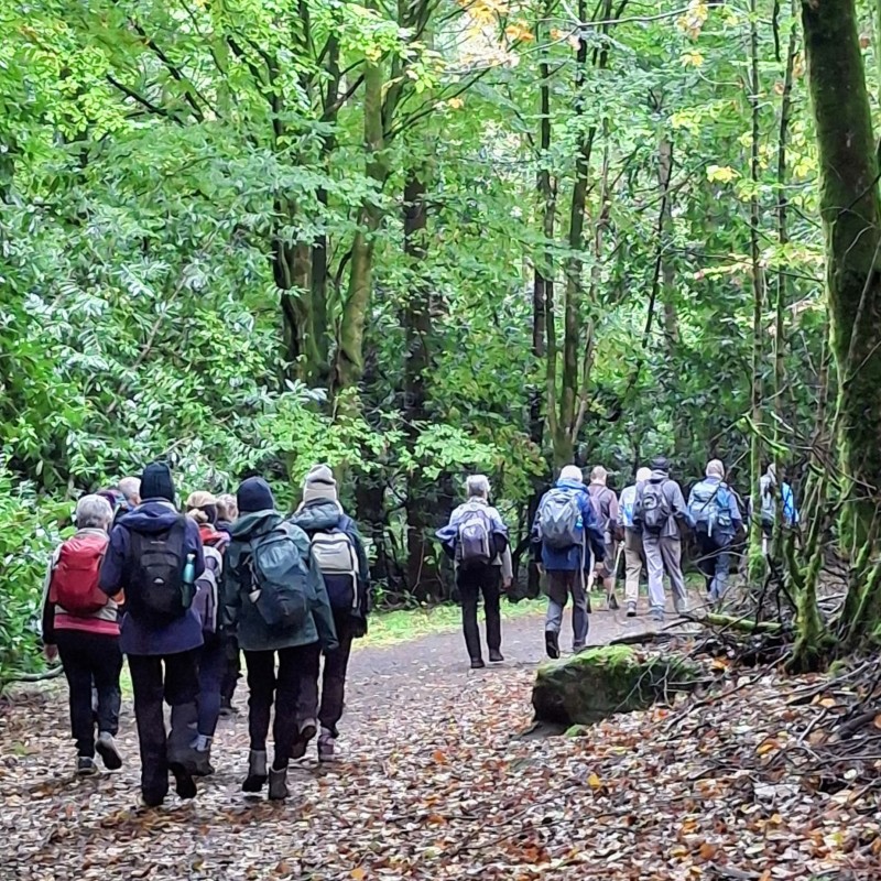 Rossmore Forest Park