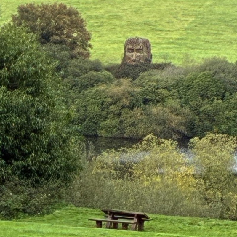 Rossmore Forest Park