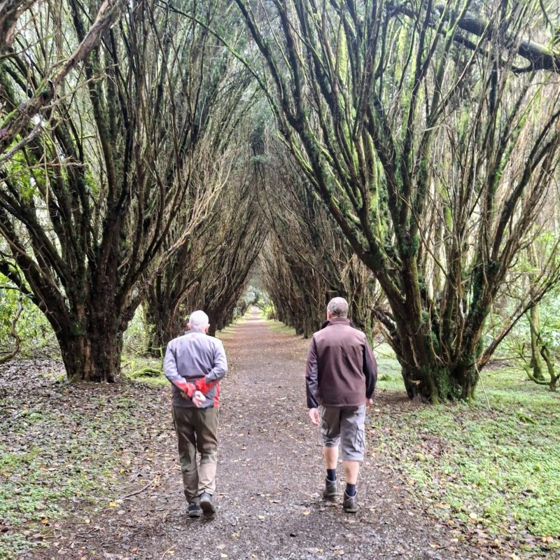 Rossmore Forest Park