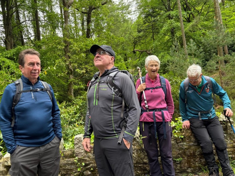 Tollymore