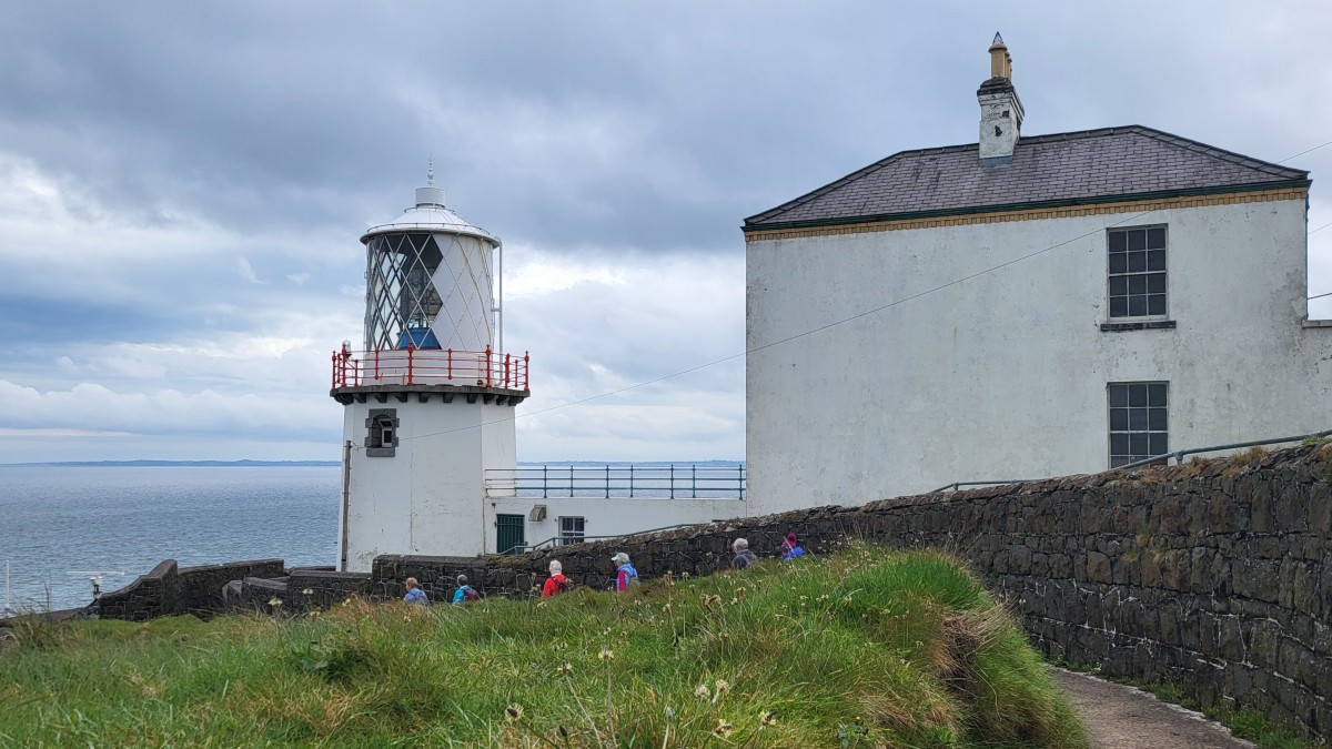 Whitehead
